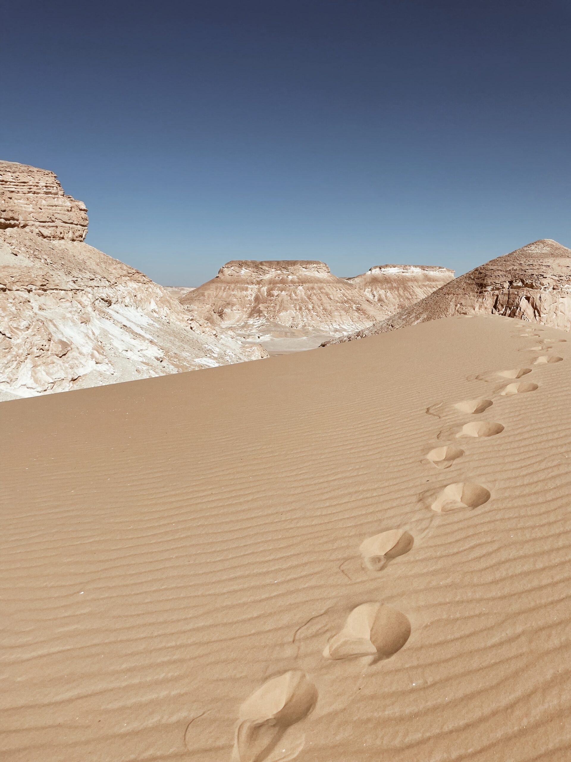 Desierto Blanco